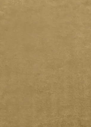 Ткань Mulberry Home Rossini Velvet FD628_T102