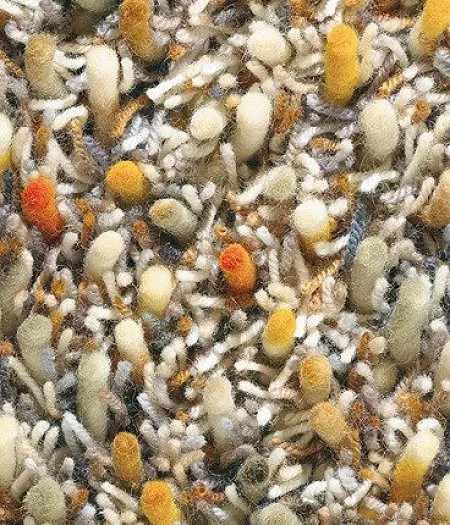 spring-59103-200x300-x-5