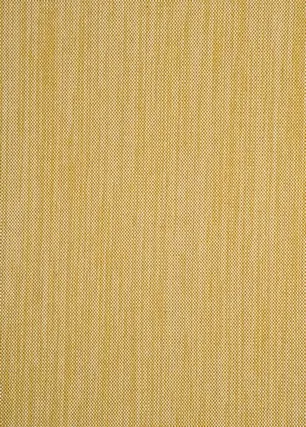 Ткань Baker Lifestyle Homes & Gardens II PF50356_150