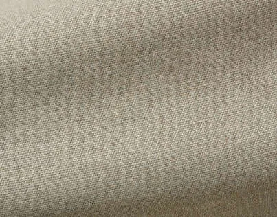 Ткань Pierre Frey Natecru F3173004