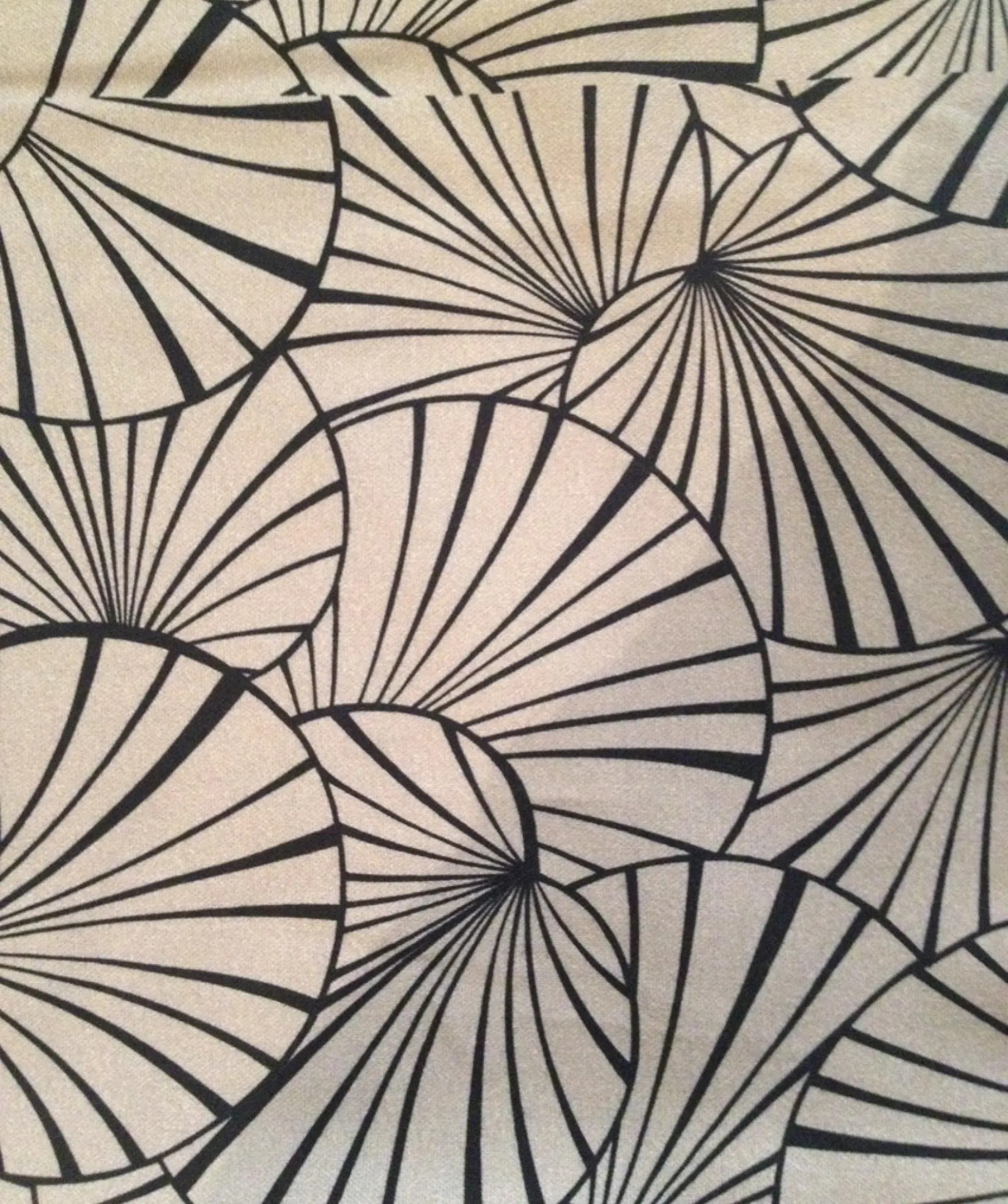 Ткань Thevenon Coated img_0338