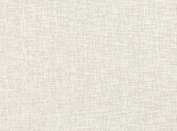 Ткань Zinc Form Weaves Z502-01