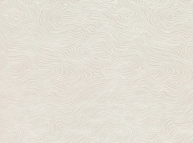 Ткань Zinc Teatro Weaves Z494-01