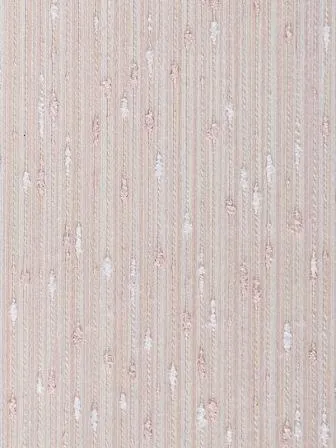 Обои для стен Sangiorgio Easy Life 359