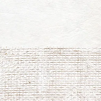 Обои для стен Elitis Epure RM 667 02