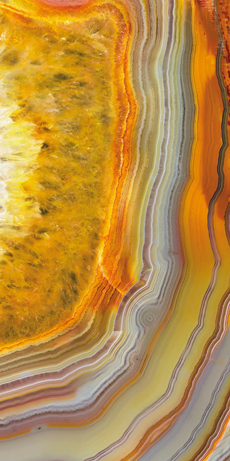 Обои для стен Tecnografica Decora Lux 59425-2