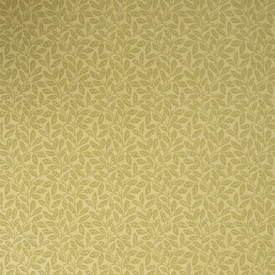 Обои для стен Bradbury & Bradbury Arts & Crafts glw_945_olive_400