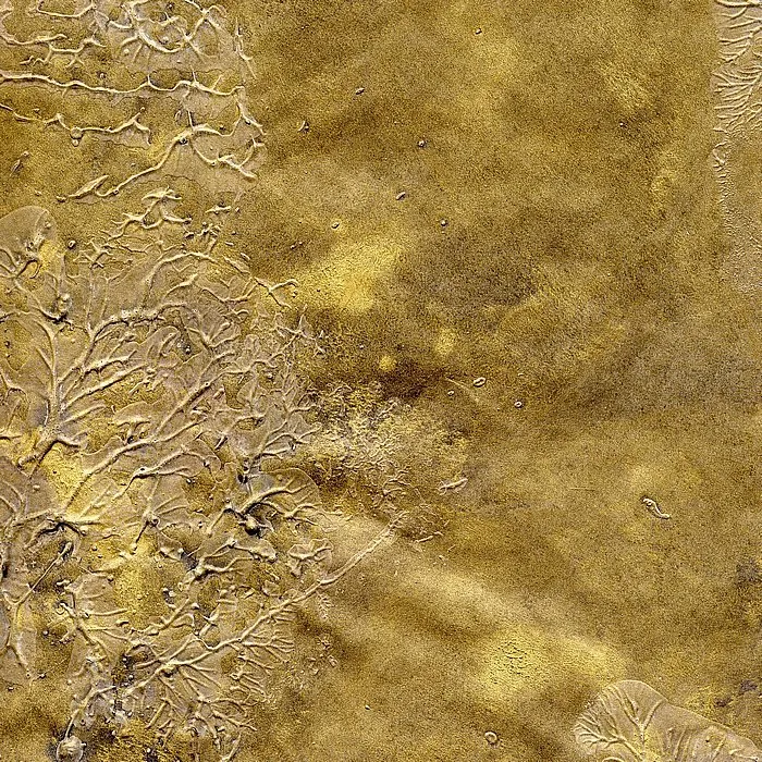 Обои для стен Arlin Gondwana GONDW_1