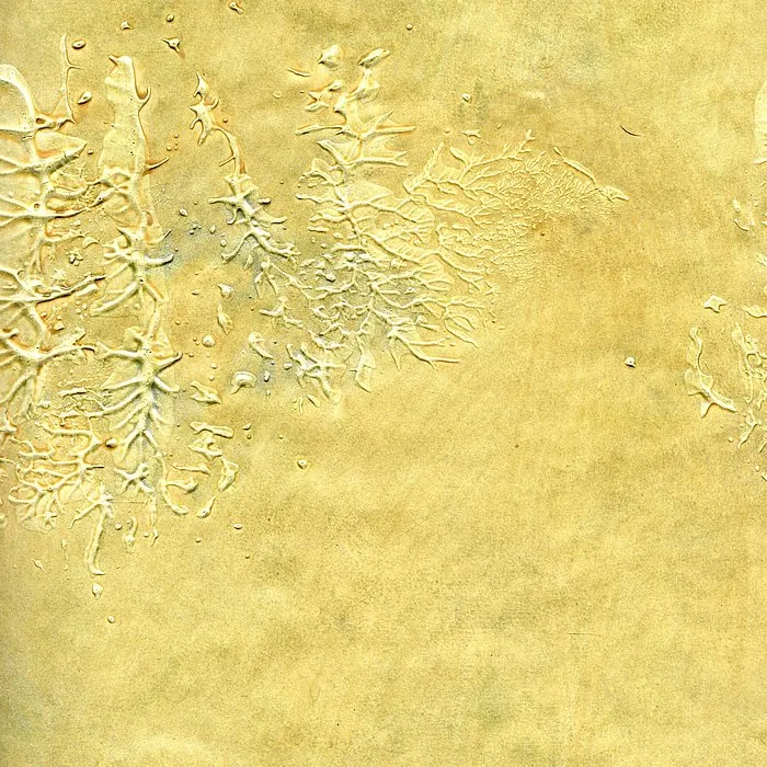 Обои для стен Arlin Gondwana GONDW_12