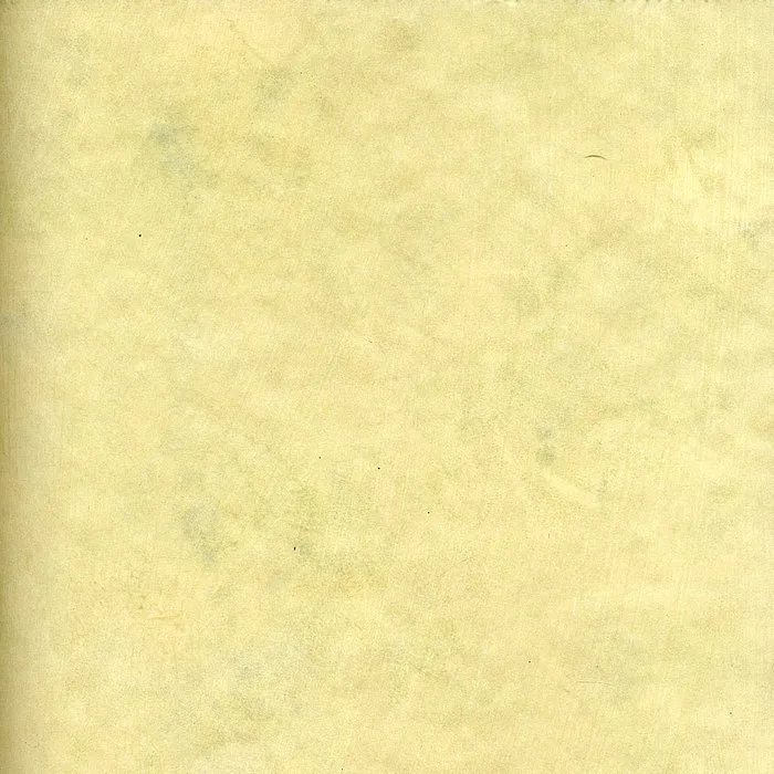 Обои для стен Arlin Gondwana GONDW_13