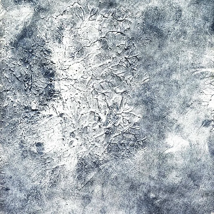 Обои для стен Arlin Gondwana GONDW_14