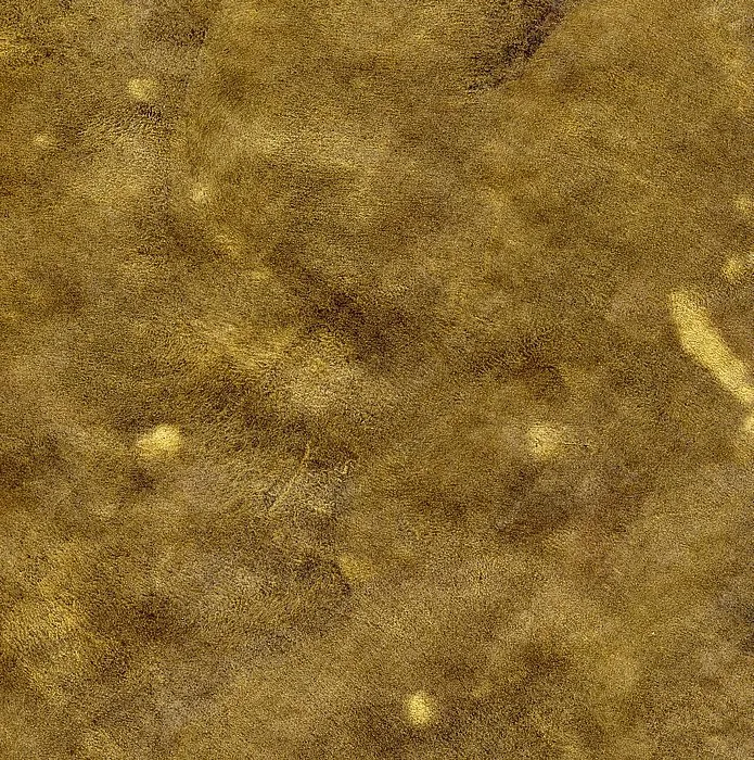 Обои для стен Arlin Gondwana GONDW_2