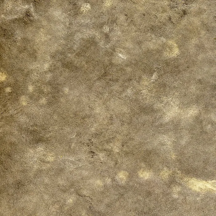 Обои для стен Arlin Gondwana GONDW_5