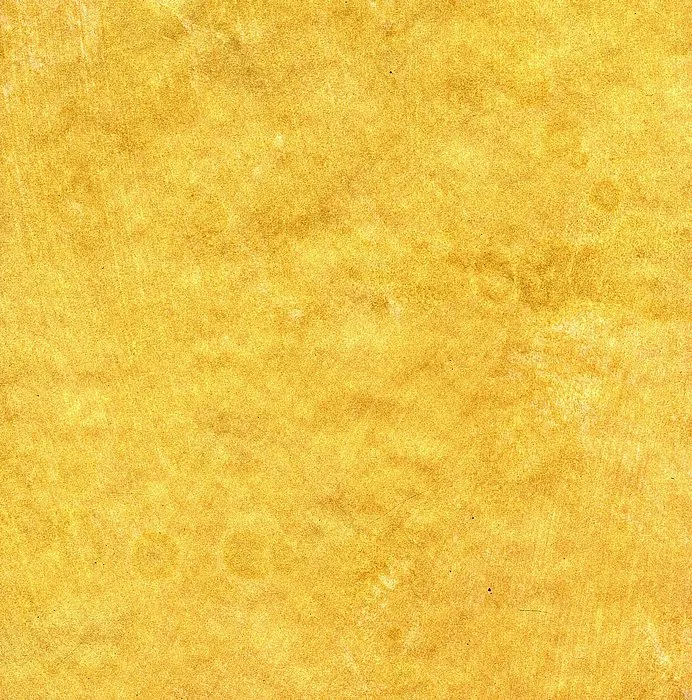 Обои для стен Arlin Gondwana GONDW_53