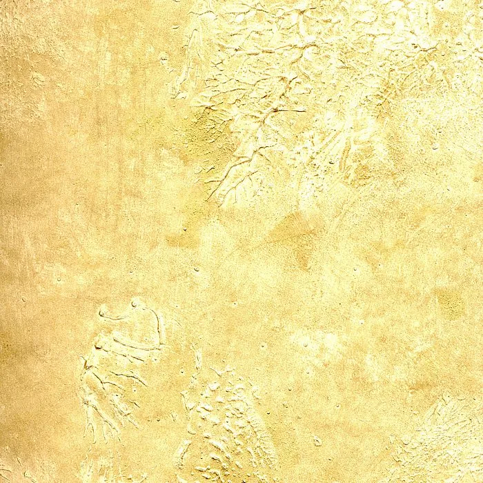 Обои для стен Arlin Gondwana GONDW_6