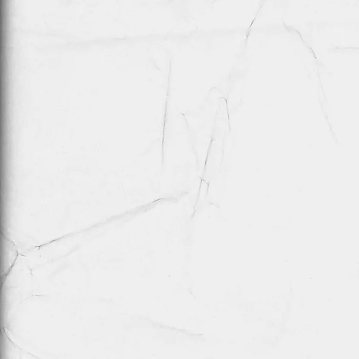 Обои для стен Arlin Gondwana GONDW_60