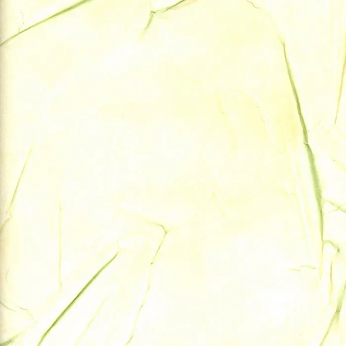 Обои для стен Arlin Gondwana GONDW_63