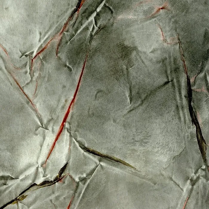 Обои для стен Arlin Gondwana GONDW_70