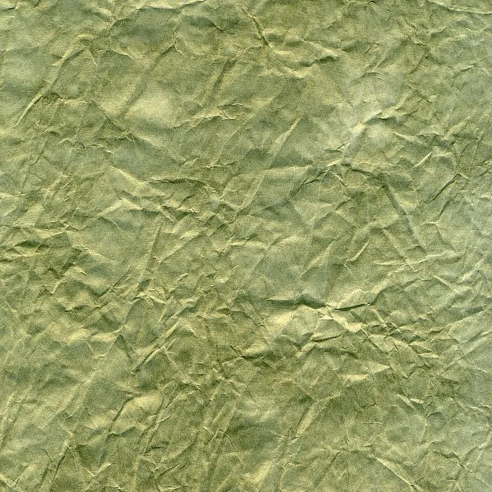 Обои для стен Arlin Gondwana GONDW_81