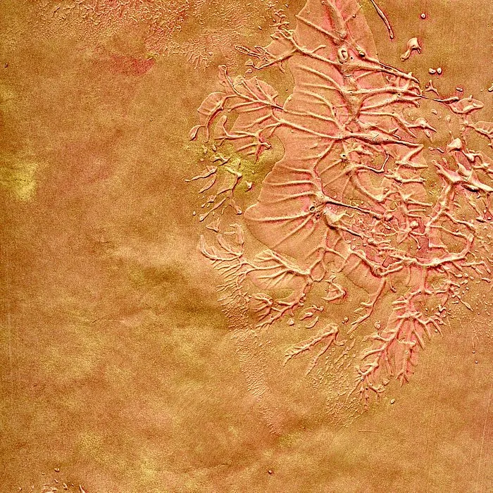 Обои для стен Arlin Gondwana GONDW_9