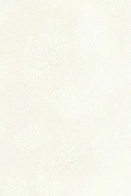 Обои для стен Arlin Papavero 1PPV-C