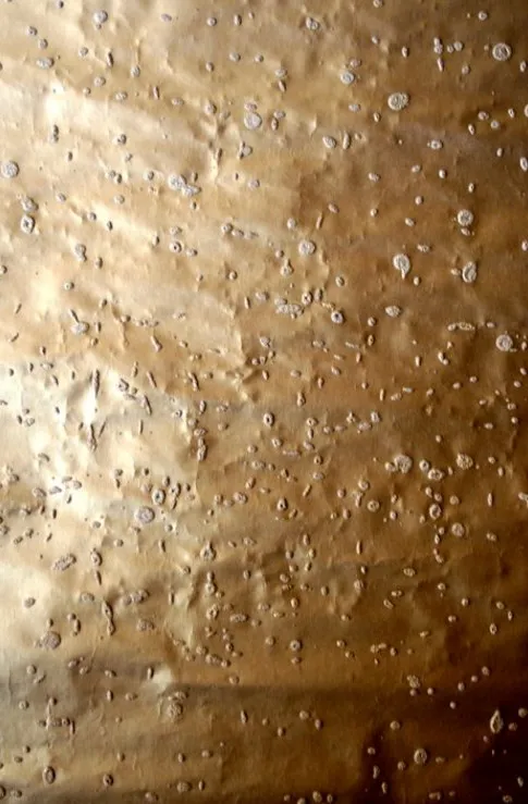 Обои для стен Arlin Suraki SURA_03