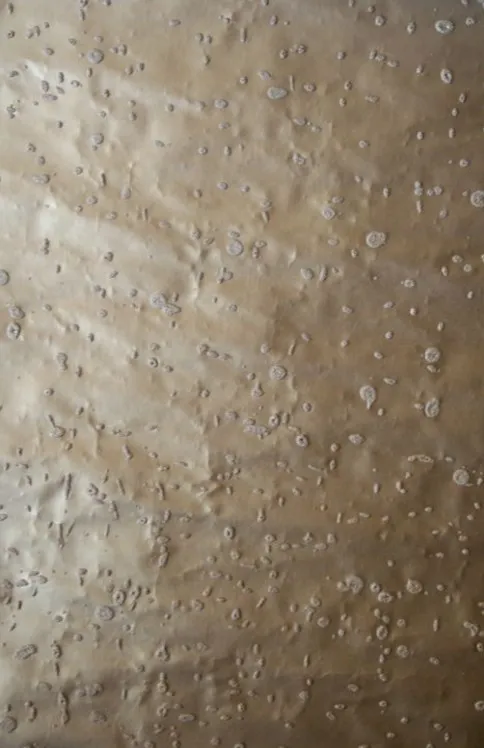 Обои для стен Arlin Suraki SURA_04