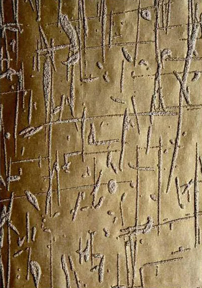 Обои для стен Arlin Suraki SURA_05