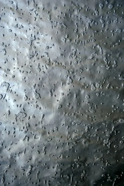 Обои для стен Arlin Suraki SURA_13 #1