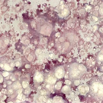 Обои для стен Arlin Sweet Stones SWSTS_8 #1