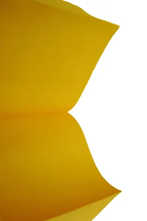 Плиссированные шторы PF-XL-FIRENZE-2100