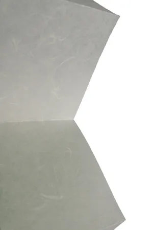 Плиссированные шторы PF-XL-JPNPPR-0300