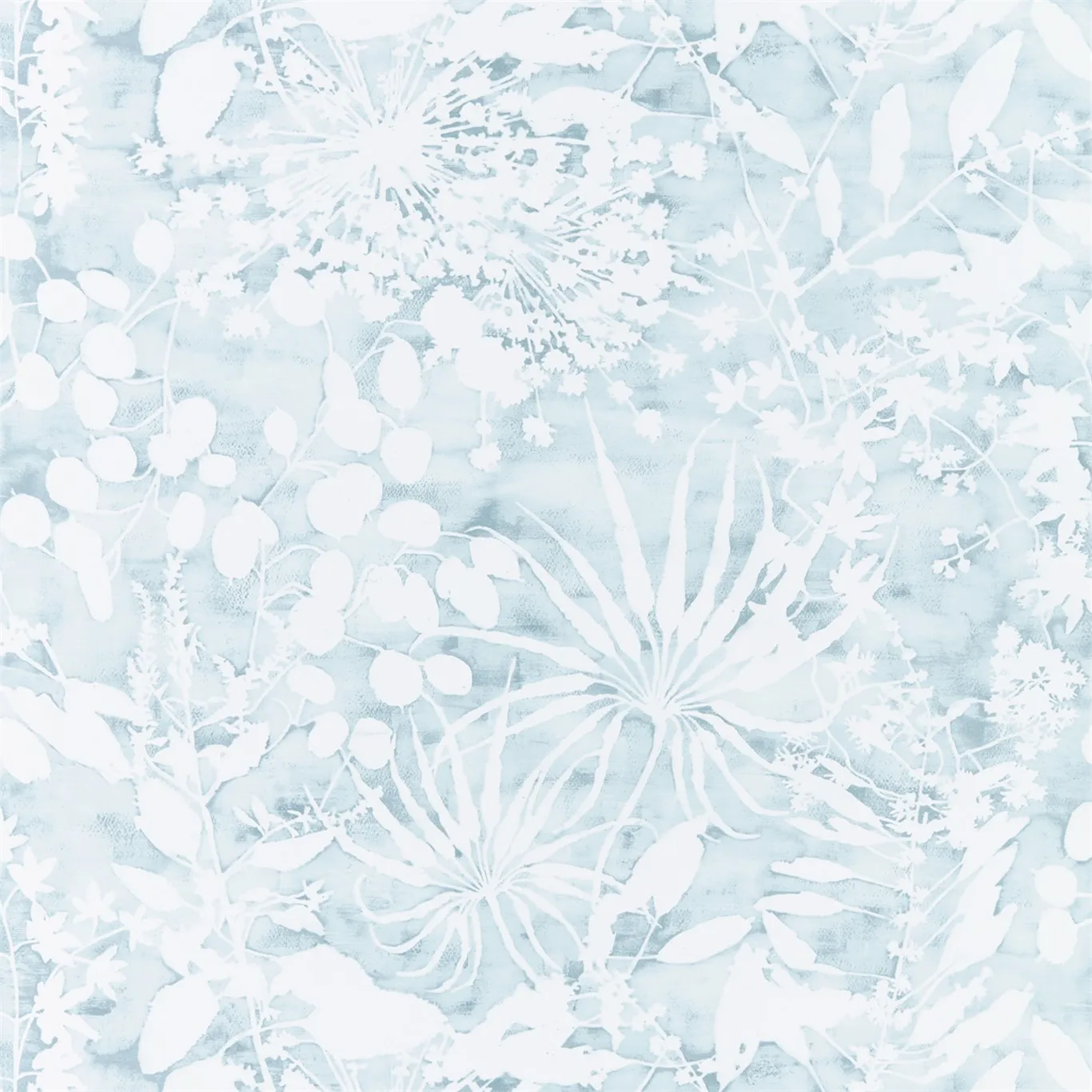 Обои для стен Harlequin Anthozoa 111637