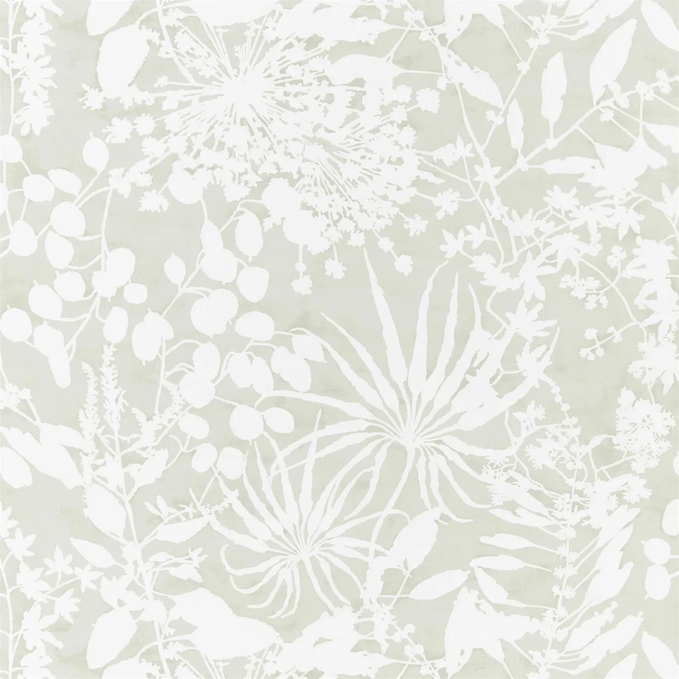 Обои для стен Harlequin Anthozoa 111640