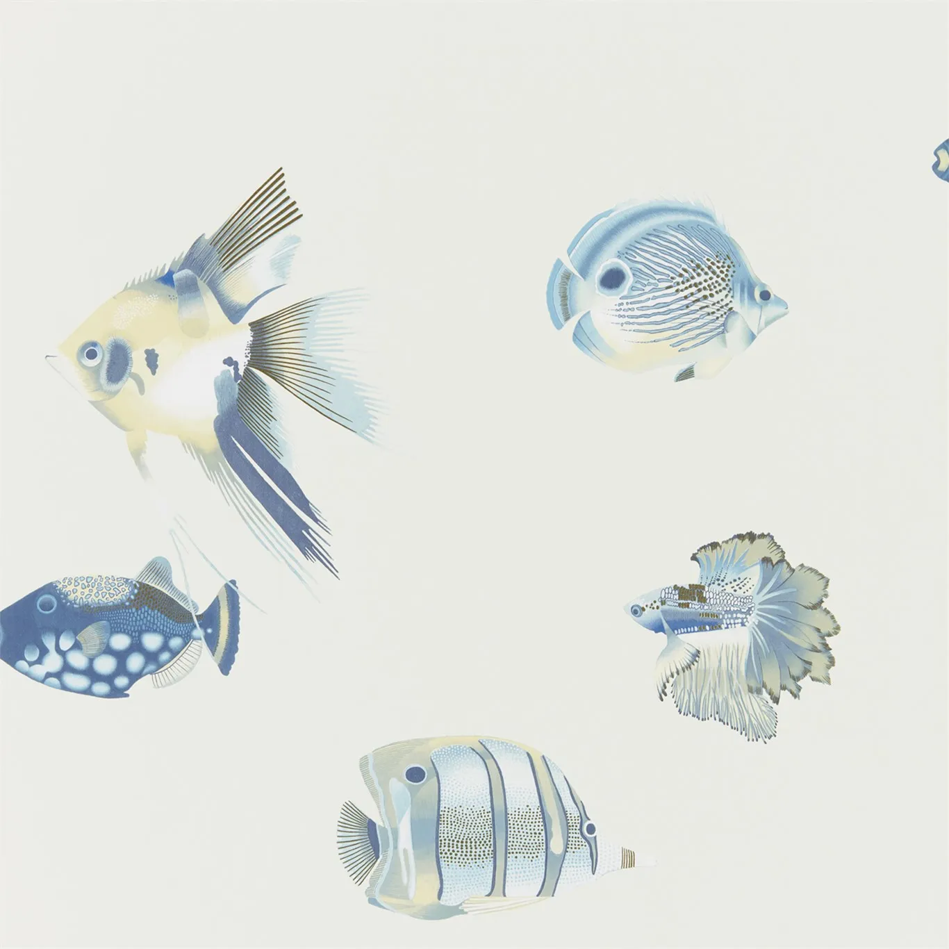 Обои для стен Harlequin Anthozoa 111649