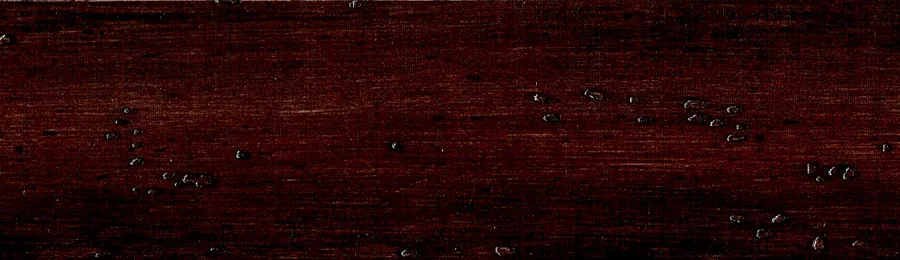 Жалюзи горизонтальные WLDWS9DW50