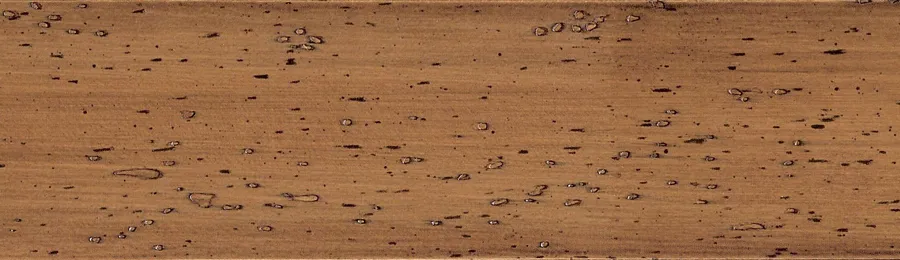 Жалюзи горизонтальные WLDWS9LB50