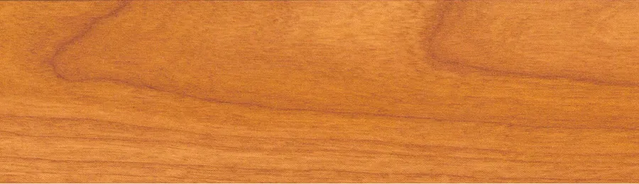 Жалюзи горизонтальные WLS9RC25