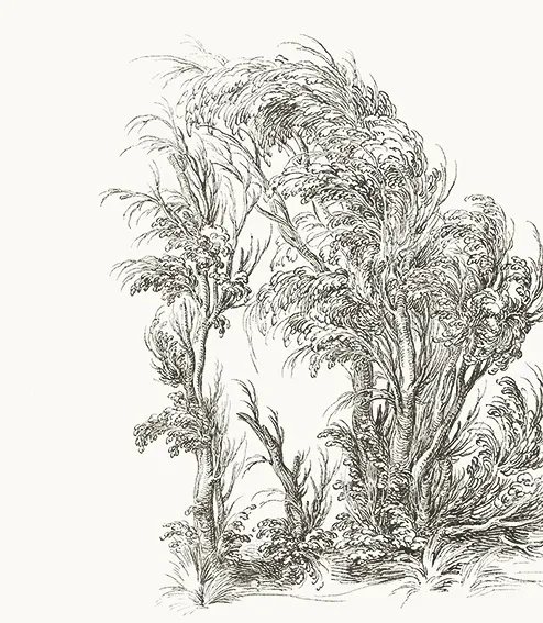 Обои для стен Rasch Textil Pure Linen 51765