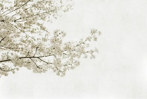 Обои для стен Coordonne Random Papers 4500031