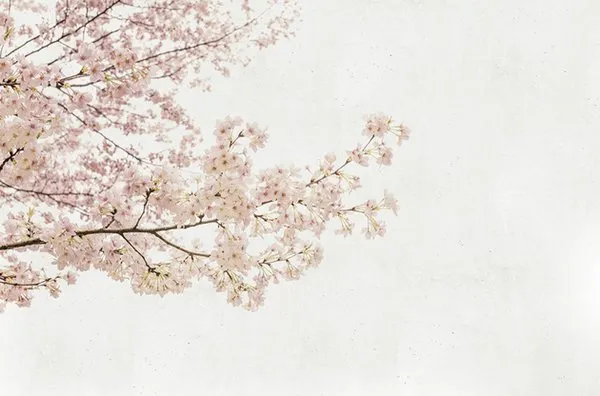 Обои для стен Coordonne Random Papers 4500032