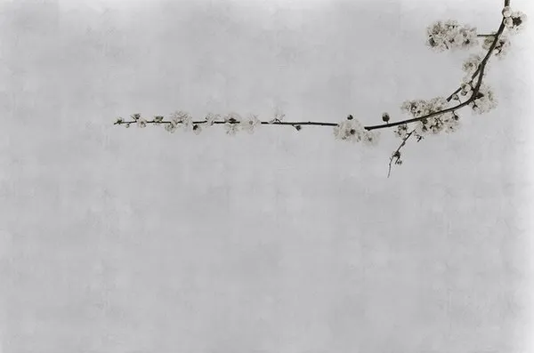 Обои для стен Coordonne Random Papers 4500034