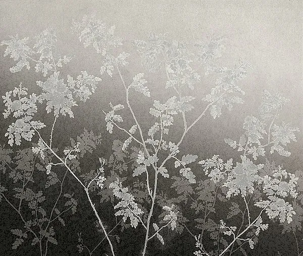 Обои для стен Tres Tintas Journeys JO1006-3