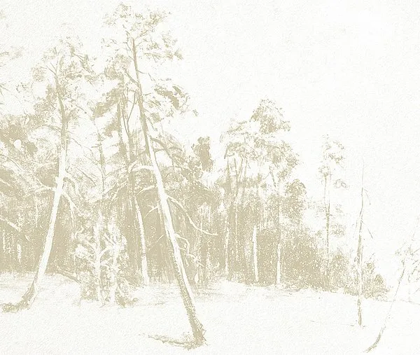 Обои для стен Tres Tintas Journeys JO1042-1