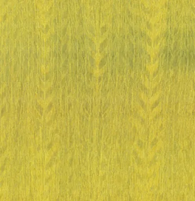 Обои для стен Arte Amazone 2 23505