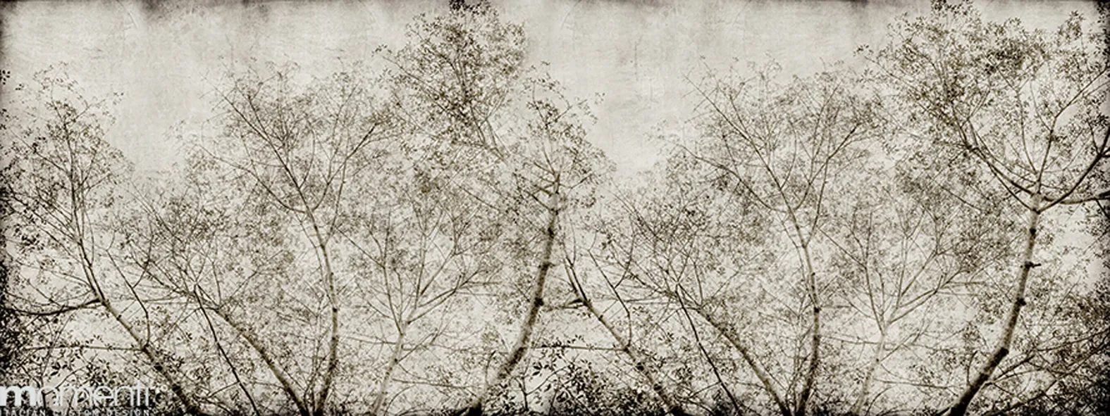 Обои для стен Momenti 2017 Collection DE-47-001