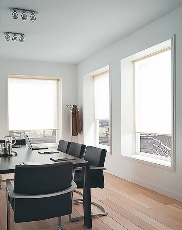 Рулонные шторы 2017-08-10_141810