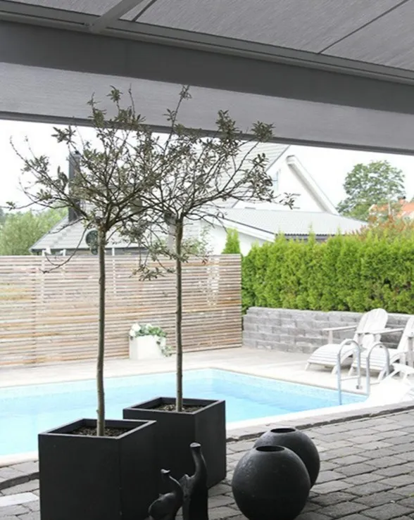 Маркизы 2017-08-11_134409