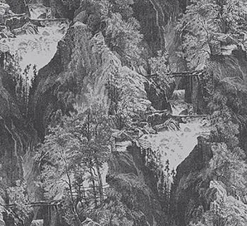 Обои для стен Hookedonwalls Classic Victory 77073