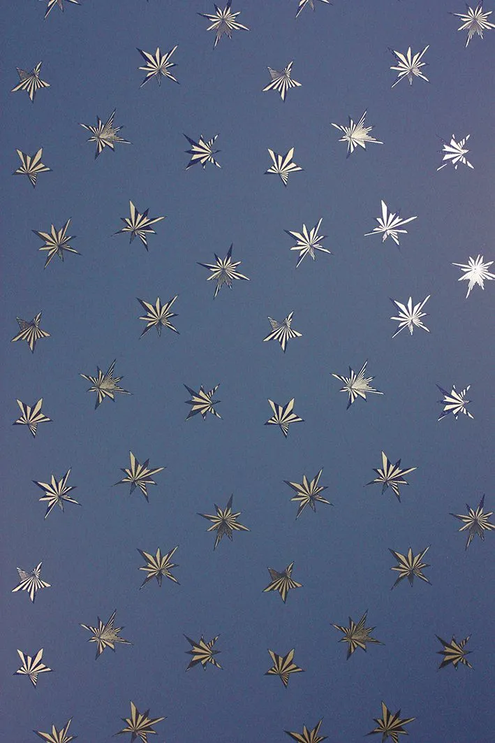 Обои для стен Matthew Williamson Belvoir W7144-06